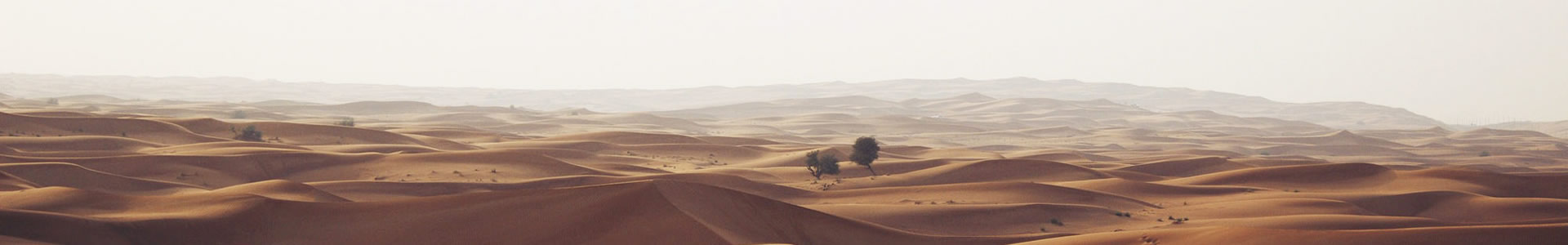 ƷƼ޹˾